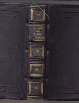 VOYAGE AUX PYRENEES. Troisième édition illustrée par Gustave Doré.. TAINE (Henri).
