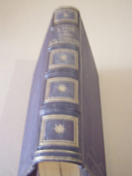 VOYAGE AUX PYRENEES. Troisième édition illustrée par Gustave Doré.. TAINE (Henri).