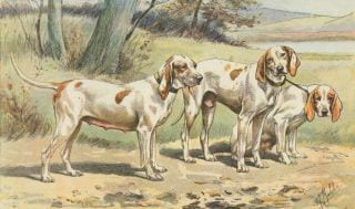 LES CHIENS, LE GIBIER ET SES ENNEMIS.Manufacture de SAINT-ETIENNE.1907