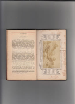 Quinti Horatii, Flacci Opera. Cum novo commentario ad modum Joannis Bond - Incunable de la photographie.. Horatii - Horace