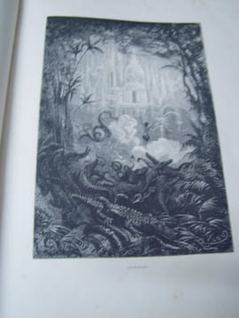 La Guyane francaise; notes et souvenirs d'un voyage execute en 1862-1863 par Frederic Bouyer. Ouvrage illustre de types, de scenes et de paysages par ...