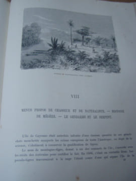 La Guyane francaise; notes et souvenirs d'un voyage execute en 1862-1863 par Frederic Bouyer. Ouvrage illustre de types, de scenes et de paysages par ...