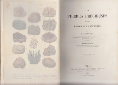 LES PIERRES PRECIEUSES ET LES PRINCIPAUX ORNEMENTS.
