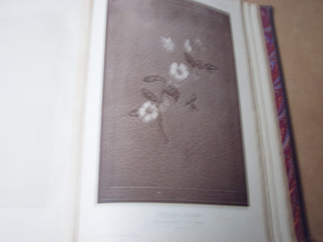 Collection de La Croix-Laval. Album de cent soixante et onze (171) reproductions de reliures d'art exécutées sur des éditions de grand luxe par les ...