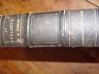 Voyage autour du Monde contenant: la description Geographique et Pittoresque des divers pays, l'esquisse des moeurs de chaque peuple;