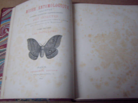 Les papillons. Organisation - Moeurs - Chasse - Collections - Classification. Iconographie et histoire naturelle des papillons d'Europe.2 tomes en un ...