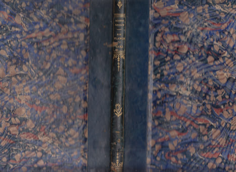 Aux flancs du vase,édition inconnue manuscrite. Albert Samain