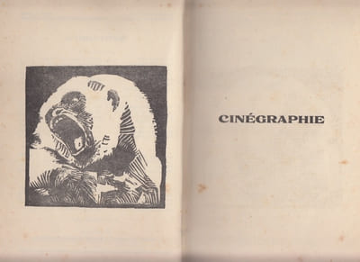 Cinéma : scénario, études et chroniques,sous titré cinegraphie,Le Rouge et le noir,cahier spécial, juillet 1928.illustrations de Albert Dequene et Louis Serrière-Renoux.