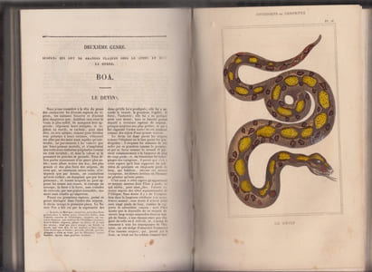 Oeuvres complètes du comte de Lacépède comprenant l'histoire naturelle des quadrupèdes ovipares, des serpents, des poissons et des cétacés, accompagnées de gravures sur acier [3 volumes]