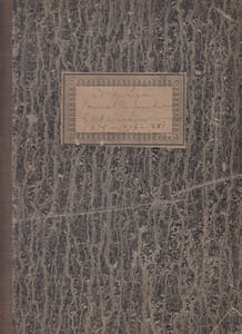 Journal de marche manuscrit  des opérations du 61e de ligne d'infanterie 1875 -1878 - 1881 - manoeuvres du 15e corps d'armée