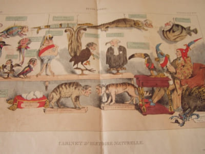 Règne animal.(1) :« CABINET D’HISTOIRE NATURELLE. »- Lithographie, Coloriée - Pl. 265, 266.-Hand-coloured lithograph,