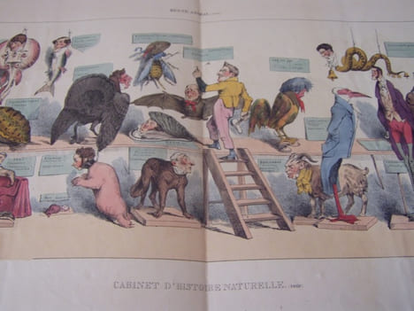 Règne animal (suite)« CABINET D’HISTOIRE NATURELLE. (suite) » (2 ) - Lithographie, Coloriée -- n°271-272-Hand-coloured lithograph,. Grandville (Nancy, ...