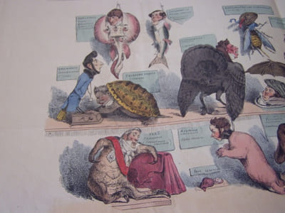 Règne animal (suite)« CABINET D’HISTOIRE NATURELLE. (suite) » (2 ) - Lithographie, Coloriée -- n°271-272-Hand-coloured lithograph,
