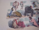 Règne animal (suite)« CABINET D’HISTOIRE NATURELLE. (suite) » (2 ) - Lithographie, Coloriée -- n°271-272. Grandville (Nancy, 15–09–1803 - Vanves, ...
