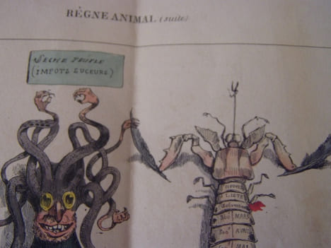 Règne animal (3)- CABINET D’HISTOIRE NATURELLE. (suite) : (3 )- Lithographie, Coloriée -Hand-coloured lithograph,. Grandville (Nancy, 15–09–1803 - ...
