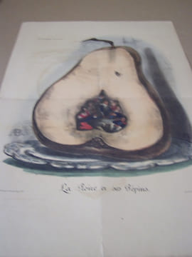 La Poire et ses Pépins -- Lithographie originale en couleur double sur Velin blanc.. Auguste Bouquet,