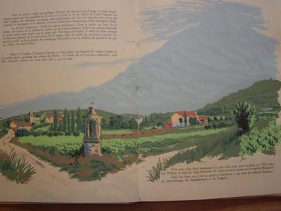 PROVENCE - Peintures , illustrations en sérigraphie de T.P.GRIEG.