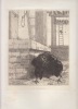 Le Corbeau - Eau-forte originale. Félix Bracquemond ( Paris, 1833 - Paris, 1914 ) - Auguste Delâtre ( Paris, 1822 - Paris, 1907 ) , imprimeur