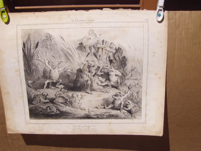 Les Grenouilles qui demandent un roi. / De celui-ci contentons nous, / De peur d’en rencontrer un pire Lithographie originale en noir sur Velin blanc.