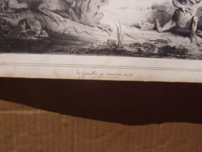 Les Grenouilles qui demandent un roi. / De celui-ci contentons nous, / De peur d’en rencontrer un pire. Lithographie originale en noir sur Velin blanc.
