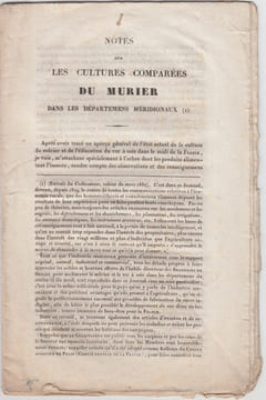 NOTES SUR LES CULTURES COMPARÉES DU MURIER DANS LES DÉPARTEMENTS MÉRIDIONAUX. BOURDON, Henri