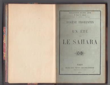 Un été dans le Sahara