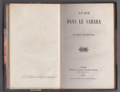 Un été dans le Sahara