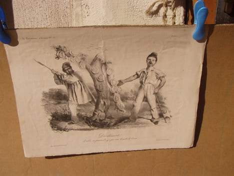 Décidement ! l'arbre est pourri, il n’y a pas une branche de bonne - Lithographie originale sur Velin blanc.. Attribué à Traviès de Villers, Charles ...