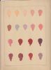 Premières études de peinture à l'huile : le mélange des couleurs enseigné par l'exemple.cahiers fascicule séparés ; Rouge . HAREUX (E.)