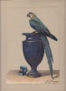 Premières études de peinture à l'huile : le mélange des couleurs enseigné par l'exemple.cahiers fascicule séparés ; bleu. HAREUX (E.)
