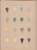 Premières études de peinture à l'huile : le mélange des couleurs enseigné par l'exemple.cahiers fascicule séparés ; Blanc. . HAREUX (E.)