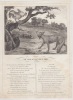FABLE Le Coq et le Renard GRAVURE authentique-original print Edition Taille Douce. Jean De LA FONTAINE