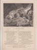FABLE  LA COUR DU LION - GRAVURE authentique-original print Edition Taille Douce. Jean De LA FONTAINE