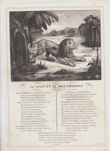 FABLE LE LION ET LE MOUCHERON - GRAVURE authentique-original print Edition Taille Douce