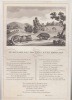 FABLE LE RENARD LES MOUCHES ET LE HERISSON   - GRAVURE authentique-original print Edition Taille Douce. Jean De LA FONTAINE