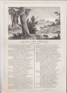 FABLE LE RENARD ANGLAIS - GRAVURE authentique-original print Edition Taille Douce