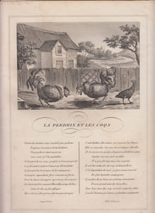 FABLE LA PERDRIX ET LES COQS - GRAVURE authentique-original print Edition Taille Douce