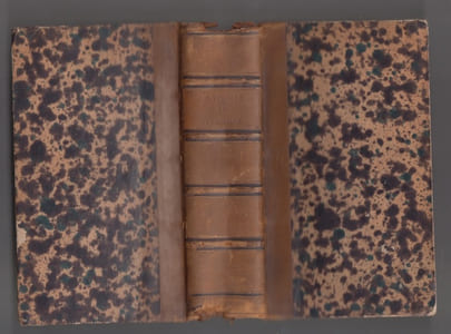 La Philippide. Poème par M. J. P. G. Viennet,... Tome premier [-deuxième].