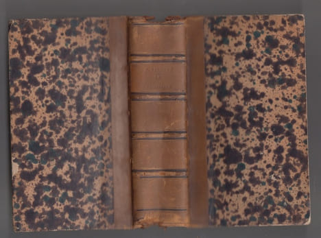 La Philippide. Poème par M. J. P. G. Viennet,... Tome premier [-deuxième].. Jean-Pons-Guillaume Viennet; Ambroise Dupont, libraire).; Joseph Tastu 