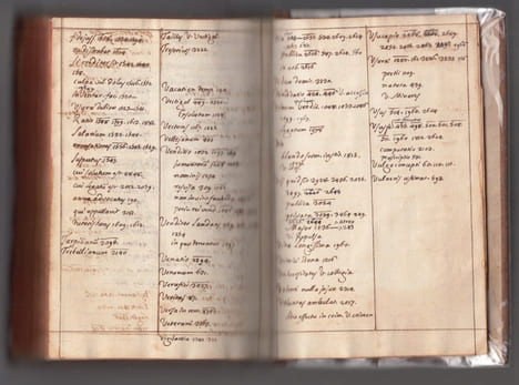 Digestorum codicis praecipuis compendium juxta seriem librorum BROUILLON/ Brouillard de Epitome juris et legum romanarum frequentioris usus, juxta ...