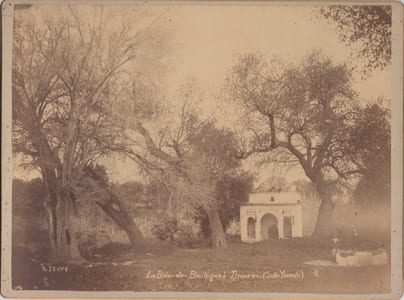 Le bois de Boulogne à Tlemcen Algérie,Photographie originale / Original photograph