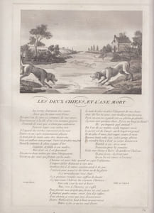 FABLE LES DEUX CHIENS ET L' ANE MORT - GRAVURE authentique-original print Edition Taille Douce