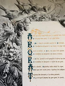 Les mois. Compositions de H. Giacomelli. Préface d'Alphonse Daudet.