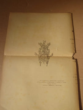 L'Image.Revue littéraire et artistique ornée de figures sur bois.- Edition originale de la collection complète de L'image, parue entre 1896 et 1897. ...