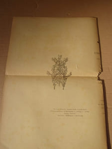 L'Image.Revue littéraire et artistique ornée de figures sur bois.- Edition originale de la collection complète de L'image, parue entre 1896 et 1897. Numéro spécimen (1896) + 12 numéros (décembre 1896 à novembre 1897) brochés,sur papier vélin,avec les doubles couvertures ,dernier plat à écusson qui manque souvent; couv.generale dépliante illustrée et gravée par PEYAT et ANGST, conservée.