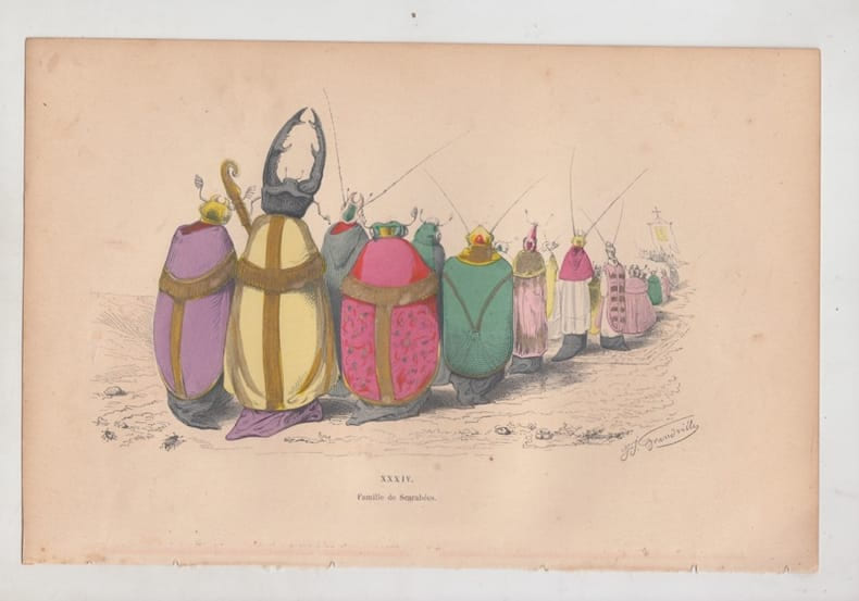 LES METAMORPHOSES DU JOUR : GRAVURE ANCIENNE COULEURS CARICATURE - Famille de scarab&eacute;es. GRANDVILLE (Jean-Ignace-Isidore G&eacute;rard, dit).