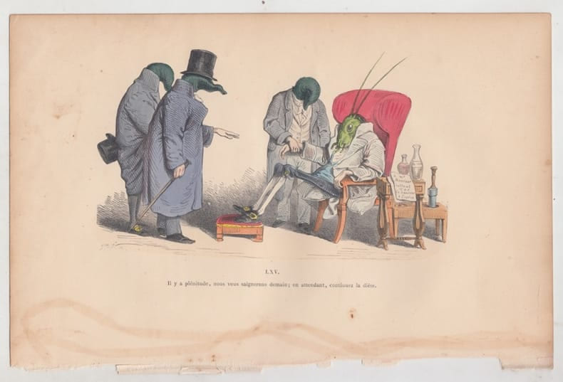 LES METAMORPHOSES DU JOUR : GRAVURE ANCIENNE COULEURS CARICATURE - Il y a pl&eacute;nitude, nous vous saignerons demain...... GRANDVILLE (Jean-Ignace-Isidore ...