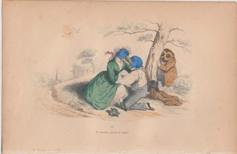 LES METAMORPHOSES DU JOUR : GRAVURE ANCIENNE COULEURS CARICATURE - "Un mariage suivant la nature".. GRANDVILLE (Jean-Ignace-Isidore G&eacute;rard, dit).