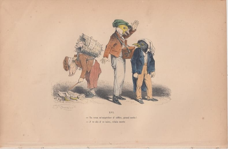 LES METAMORPHOSES DU JOUR : GRAVURE ANCIENNE COULEURS CARICATURE - "Tu veux m'emp&ecirc;cher d'siffler, grand serin ! J'te dis d'te taire, vilain merle" . . ...