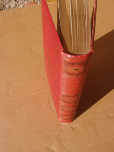 La contrée merveilleuse. Voyage dans l'Arizona et le Nouveau Mexique.- Traduction de W. Battier. Illustrations de Yan' D'argent.